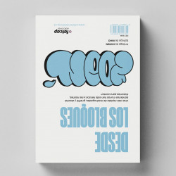 Sinopsis del libro de graffiti Desde los bloques, de Zoan FTS
